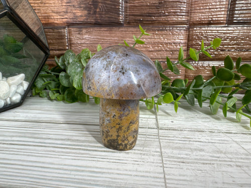 Ocean Jasper Mushroom Carving