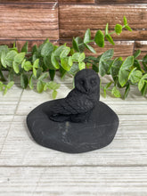 Load image into Gallery viewer, Shungite Owl On Plate