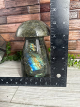 Load image into Gallery viewer, XL Labradorite Mushroom