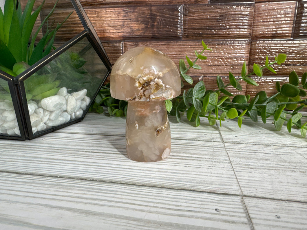 Flower Agate Mushroom