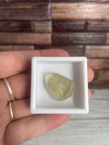 Desert Libyan Glass