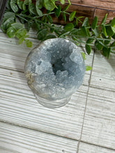 Load image into Gallery viewer, Celestite Half Sphere Cluster