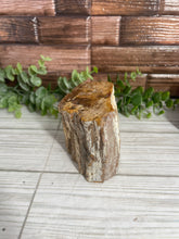 Load image into Gallery viewer, Petrified Wood