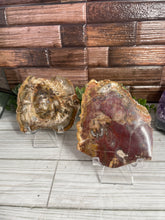 Load image into Gallery viewer, Petrified Wood Slab