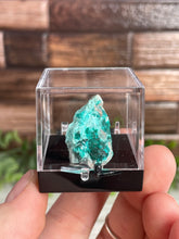 Load image into Gallery viewer, Dioptase With Chrysocolla In Gem Box