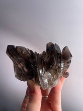 Load image into Gallery viewer, Smoky Quartz Cluster