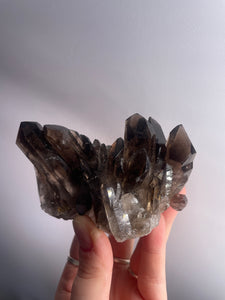 Smoky Quartz Cluster