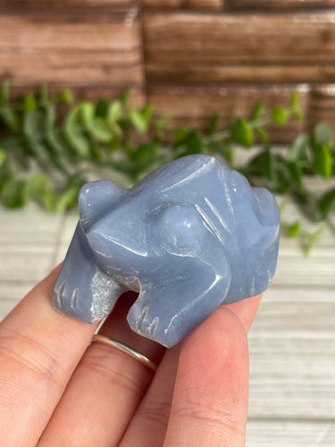 Angelite Frog Carving