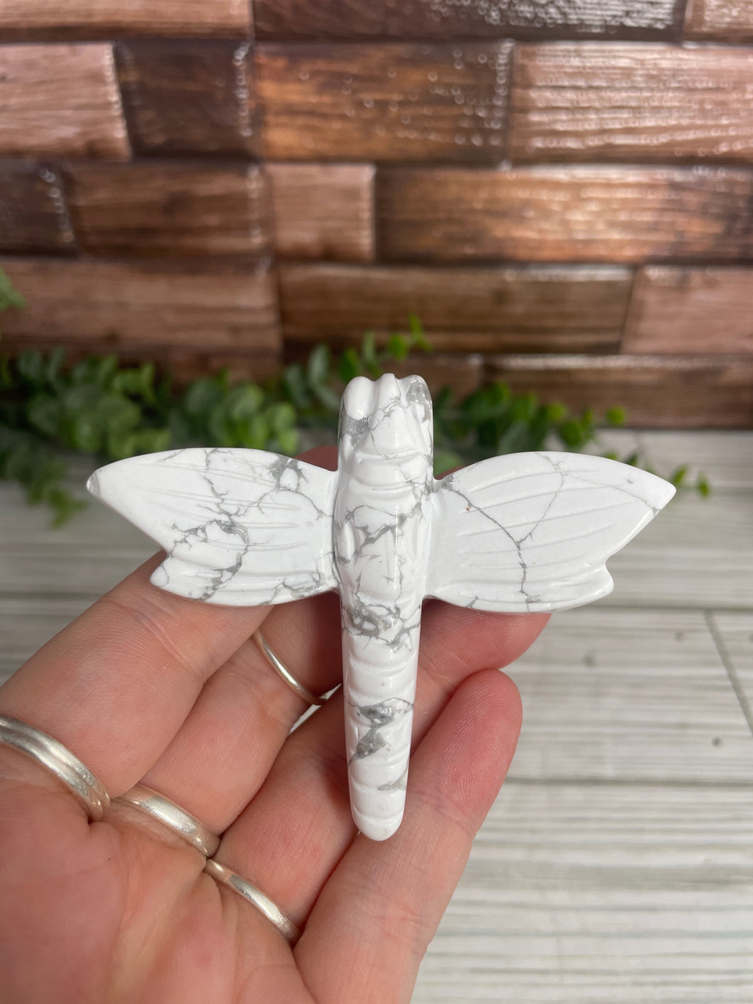 Howlite Dragonfly Carving