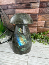 Load image into Gallery viewer, XL Labradorite Mushroom