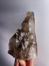 Load image into Gallery viewer, Elestial Smoky Quartz Cluster