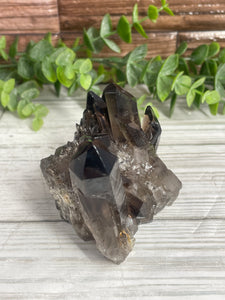 Smoky Quartz Cluster