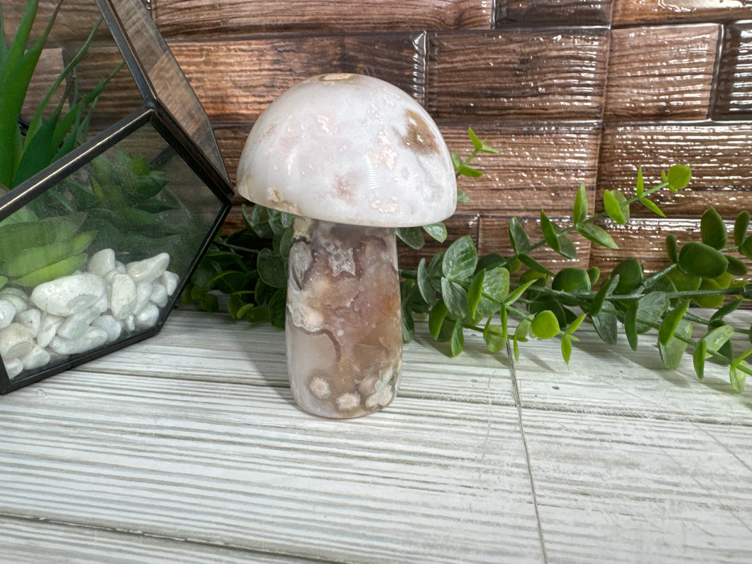 Flower Agate Mushroom