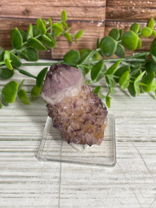 Cactus Spirit Quartz