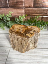 Load image into Gallery viewer, Petrified Wood