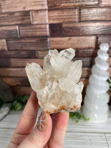 Clear Quartz Cluster