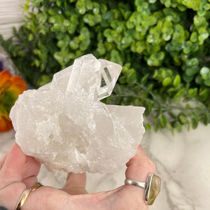 Clear Quartz Cluster