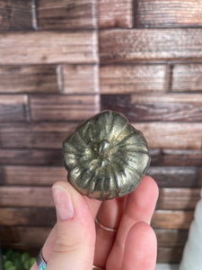 Pyrite Pumpkin/Skull Carving