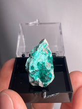 Load image into Gallery viewer, Dioptase With Chrysocolla In Gem Box