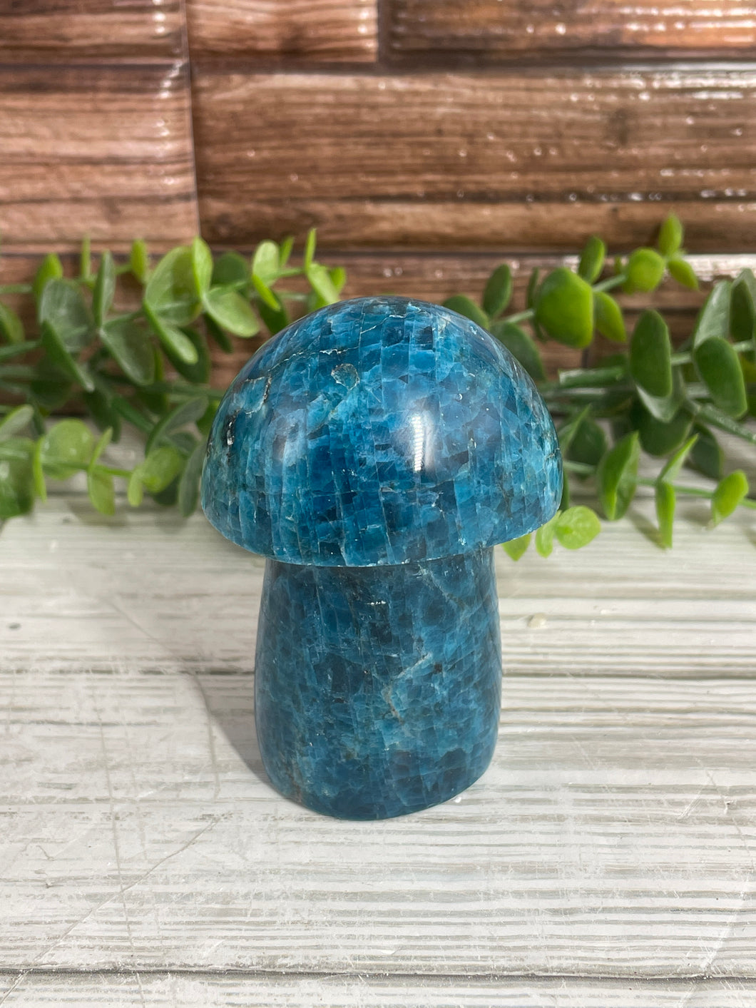 Blue Apatite Mushroom Carving