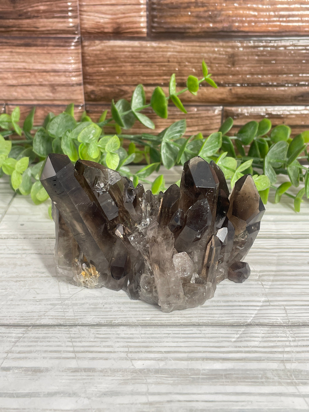 Smoky Quartz Cluster