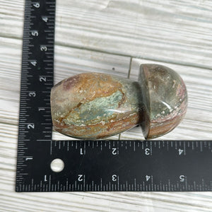 Orbicular Jasper Mushroom