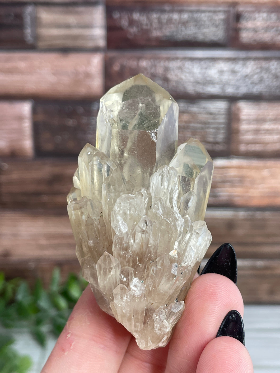 Elestial Citrine