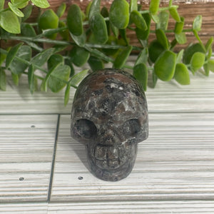 Yooperlite Skull