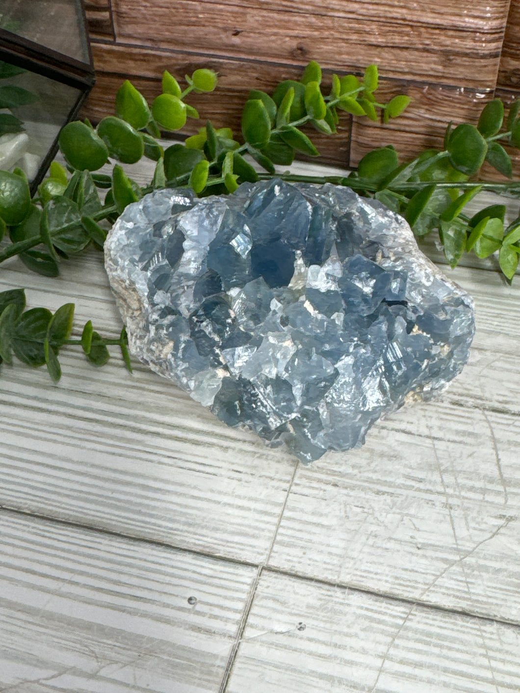 Celestite Cluster