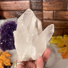 Load image into Gallery viewer, Lemurian Quartz Cluster