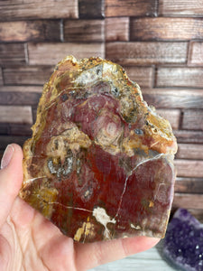 Petrified Wood Slab