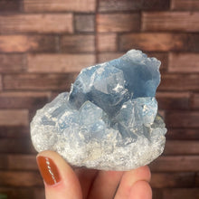 Load image into Gallery viewer, Celestite Cluster