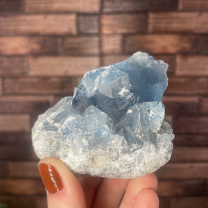 Celestite Cluster