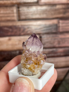 Cactus Spirit Quartz Mini