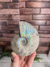 Load image into Gallery viewer, Iridescent Ammonite Fossil