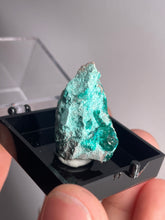 Load image into Gallery viewer, Dioptase With Chrysocolla In Gem Box