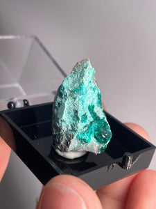 Dioptase With Chrysocolla In Gem Box