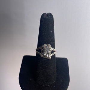 Campo Del Cielo Meteorite Size 8 Sterling Silver Ring