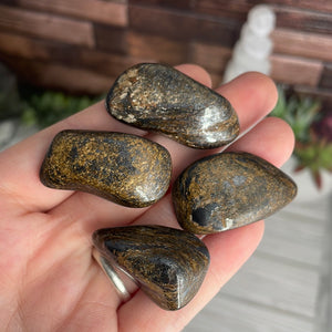 Bronzite Tumbled Stone