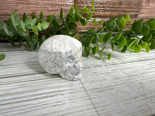 Howlite Skull