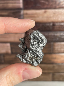 Campo Del Cielo Meteorite