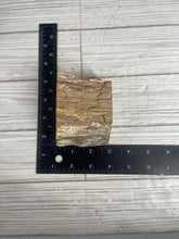 Load image into Gallery viewer, Petrified Wood