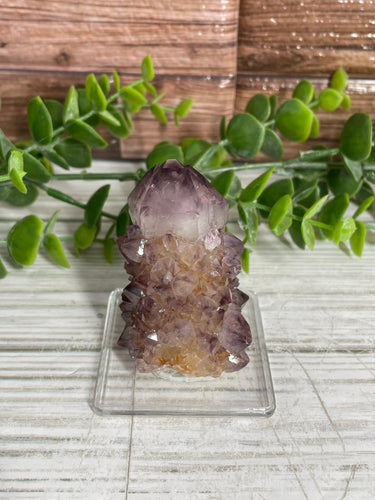 Cactus Spirit Quartz