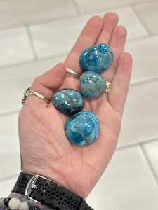 Tumbled Blue Apatite