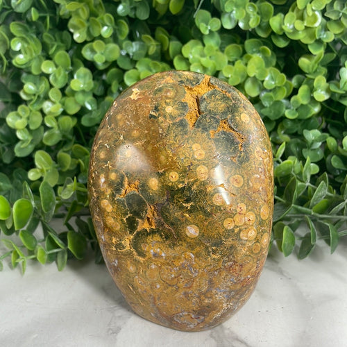 Ocean Jasper Freeform