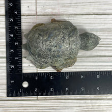 Load image into Gallery viewer, Moss Agate Turtle Carving