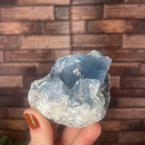 Celestite Cluster