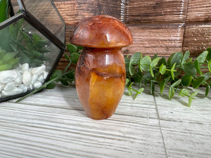 Carnelian Mushroom