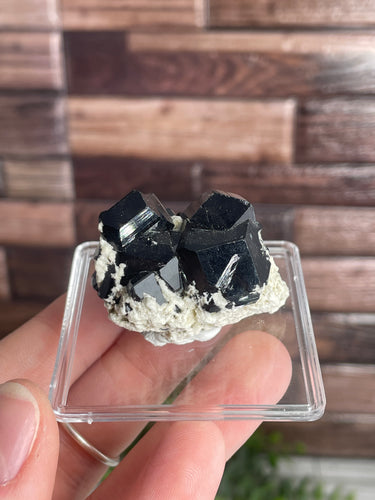 Black Tourmaline Specimen