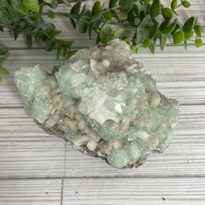 Green Apophyllite